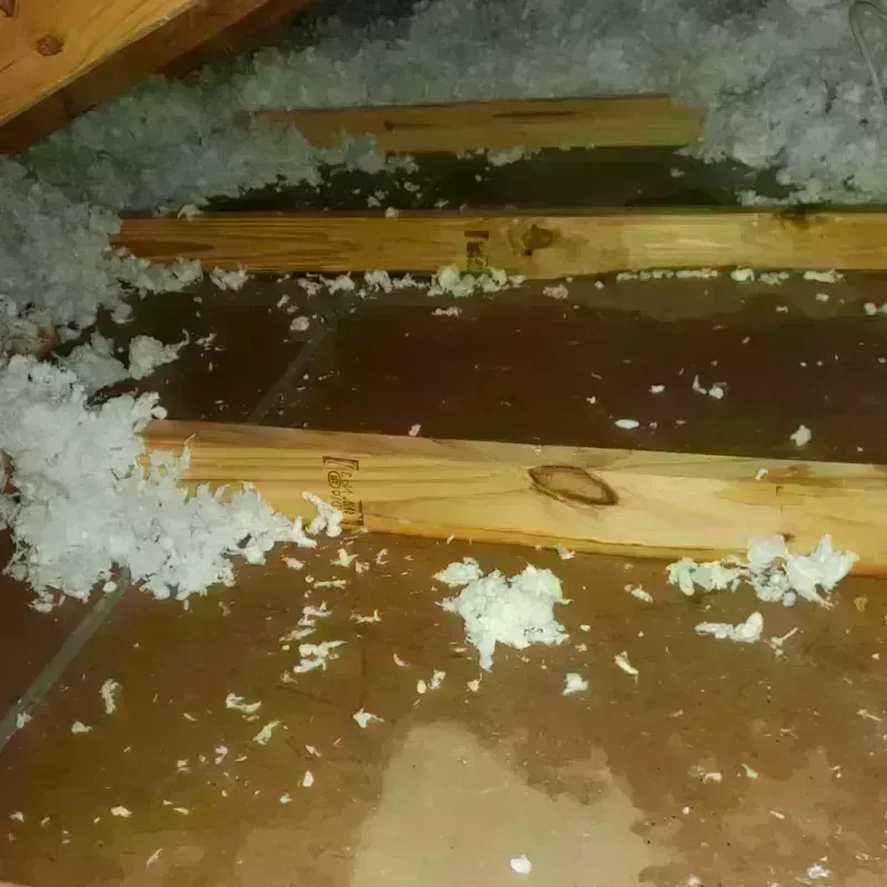 Attic Water Damage in Burkburnett, TX